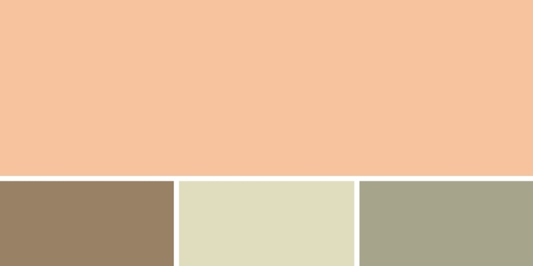 sample color palette 2 - Diva by Design